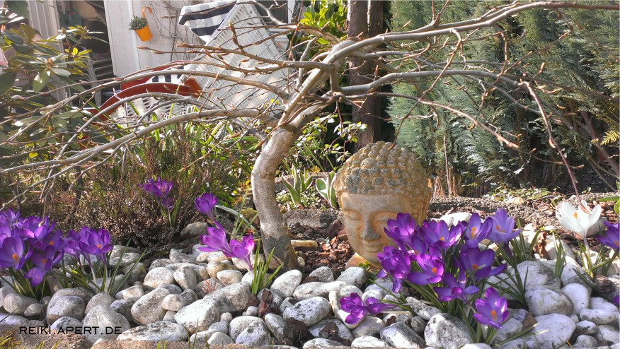 Buddha unter der Buche