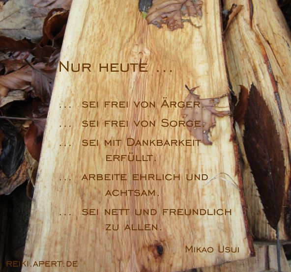 Die f&uuml;nf Lebensregeln